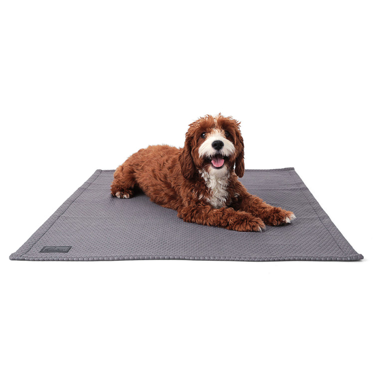 Cooling Dog Blanket