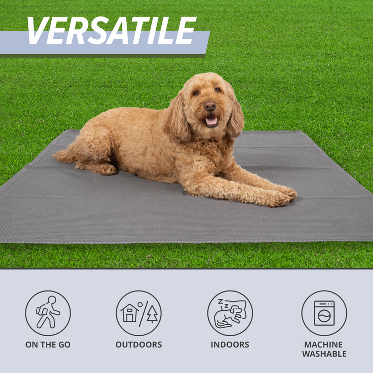 Cooling Dog Blanket