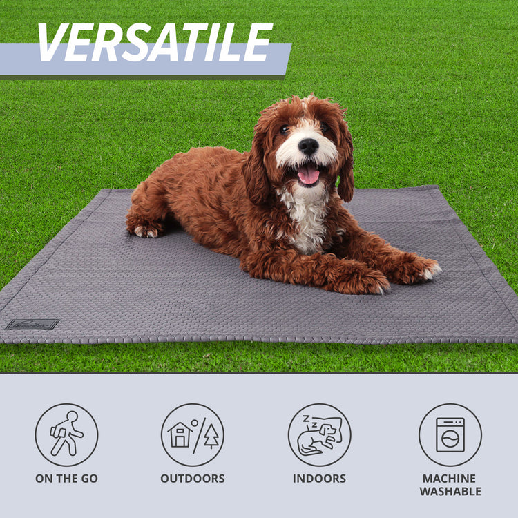 Cooling Dog Blanket
