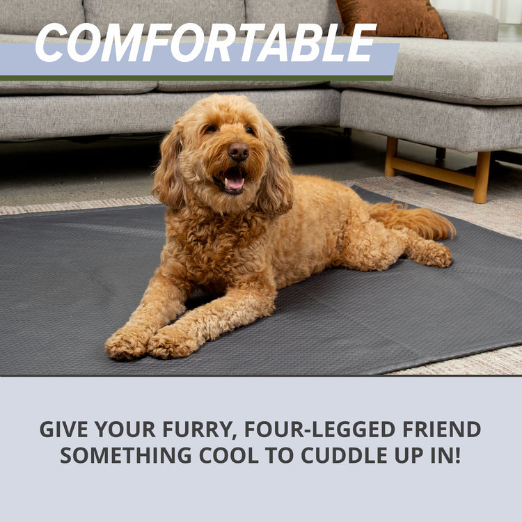 Cooling Dog Blanket