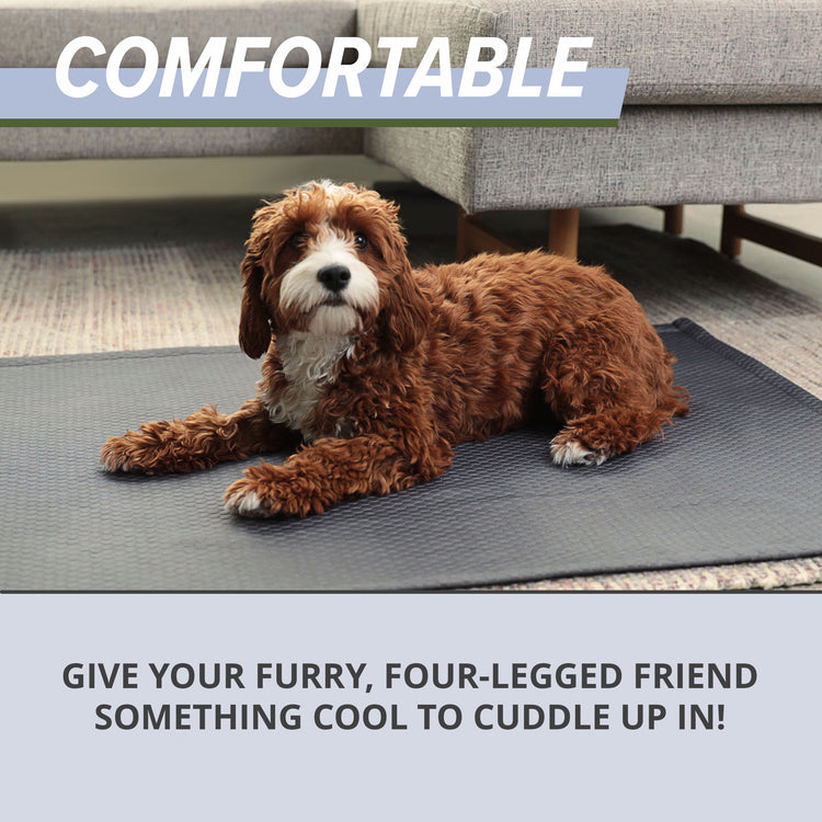 Cooling Dog Blanket