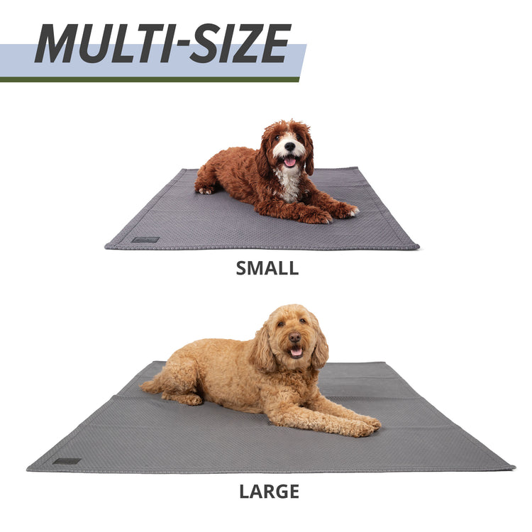 Cooling Dog Blanket