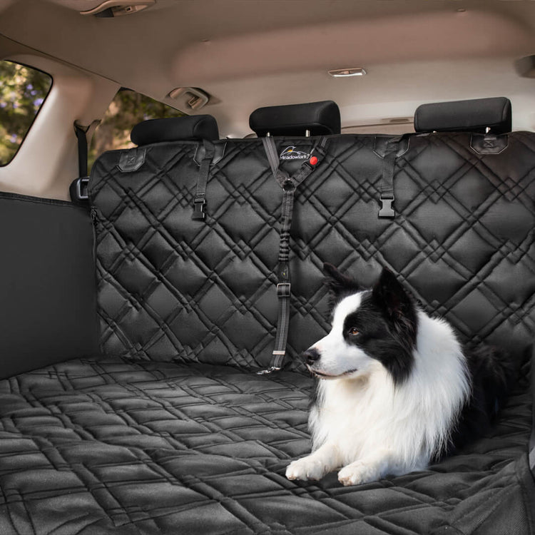 Long haired dog sitting on Meadowlark Cargo Liner Protector in trunk of vehicle.