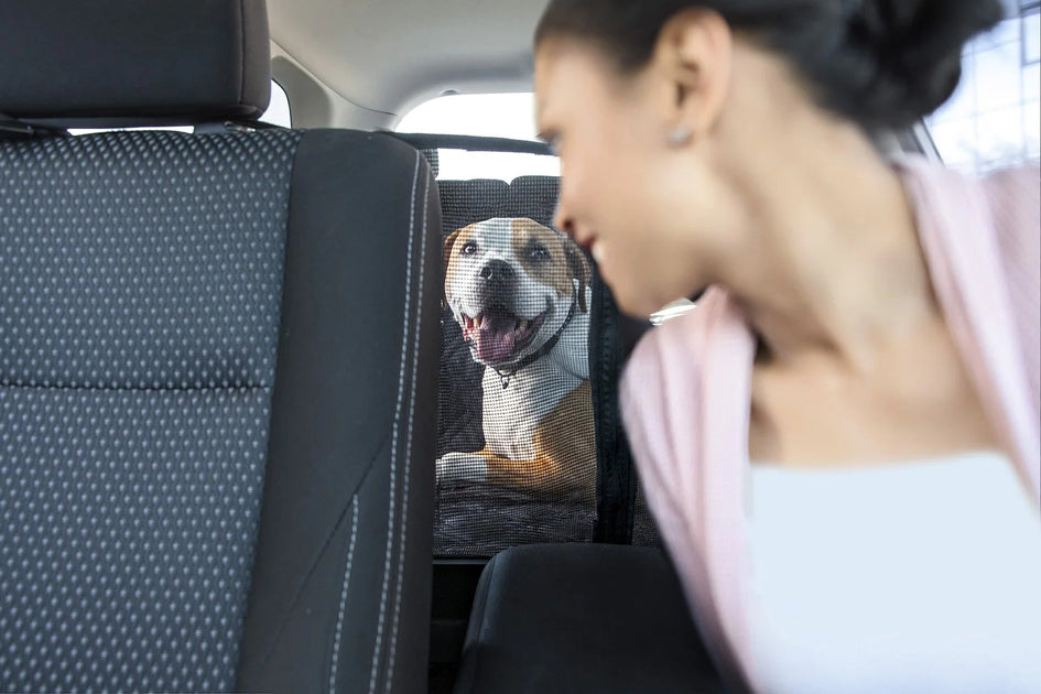 Dog Car Seat Covers Meadowlark®