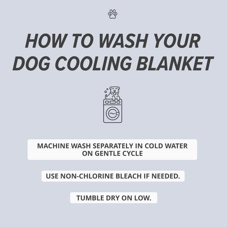 Cooling Dog Blanket