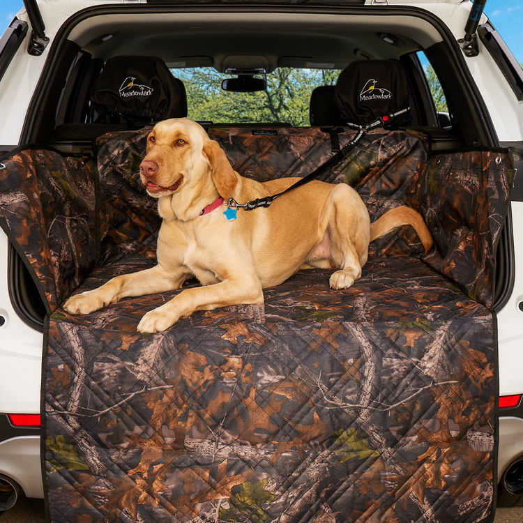 Meadowlark XL Premium Hammock Dog Car Seat Cover Back Seat, Dog Cover Car  Seat Protector, Non-Slip, Dog Stuff, Anti Shock, Water Repellant, Pet Car  Seat Cover for Dogs w/ Seat Belt 
