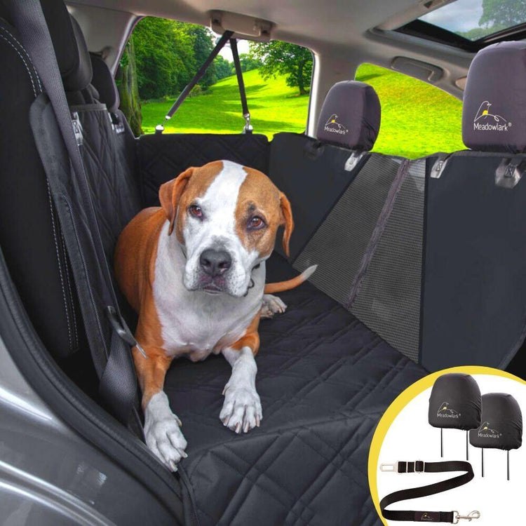 6 Best Dog Seat Belts for 2020 - Dog Safety Harnesses